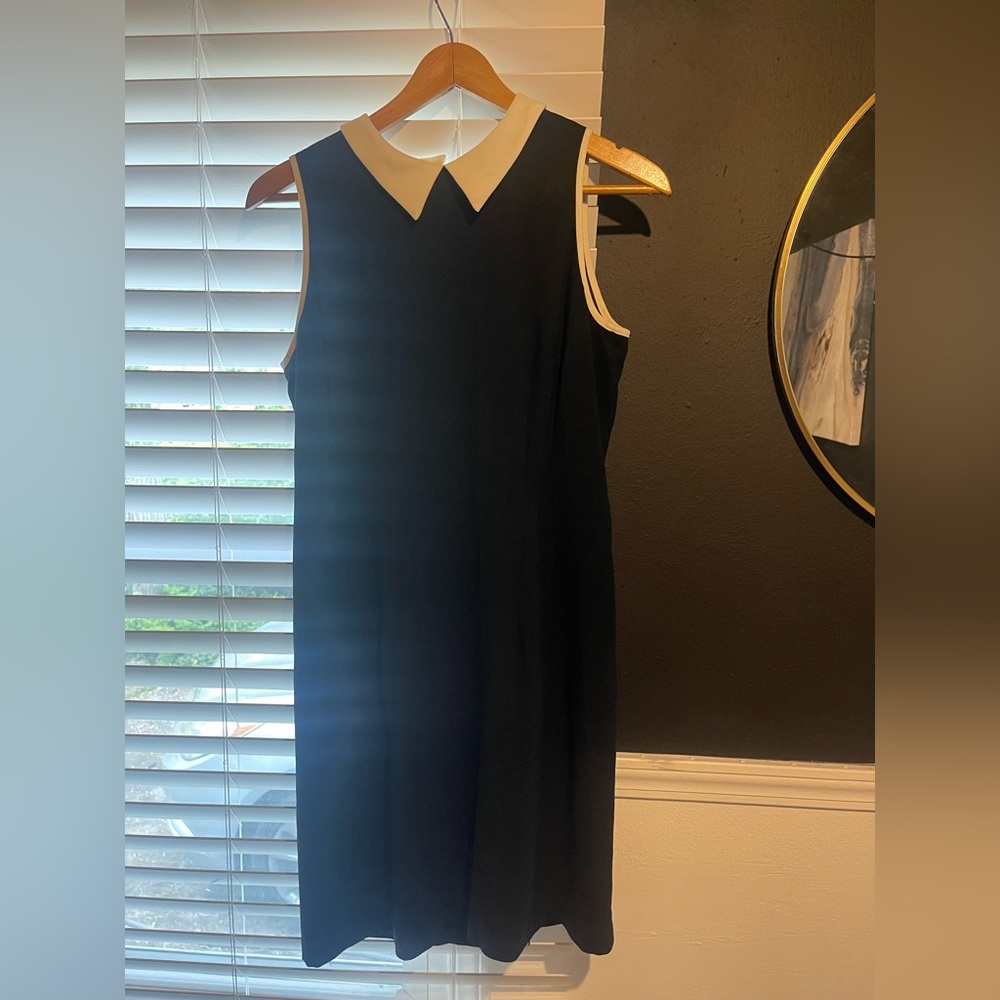 🖤🤍 Ann Taylor Vintage Collared Dress 🤍🖤